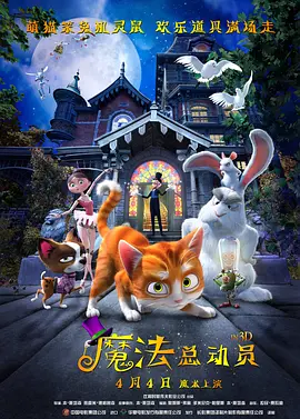 视频精品一区